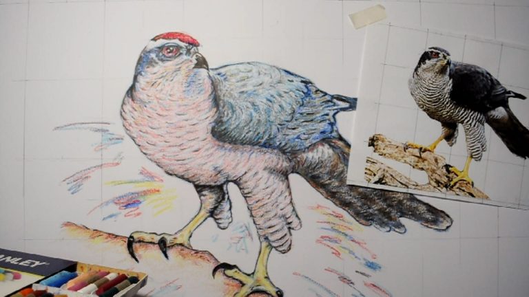 Havik Schilderij van roofvogel door kunstenaar Jozef Bloks